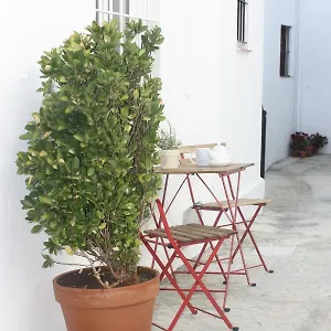  Apartamento La Casa Del Patio