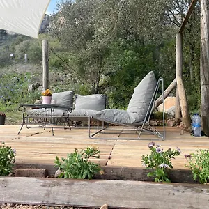 Petitu Apartamento Amer